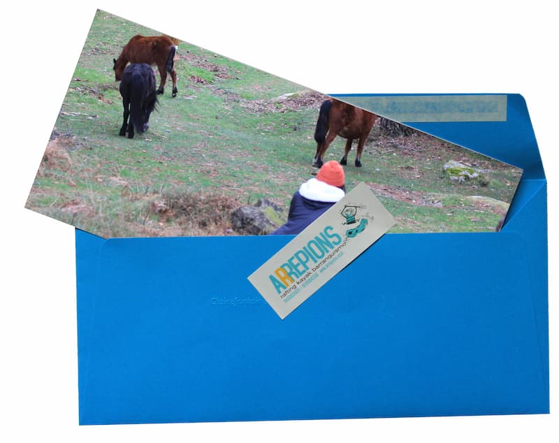 Vales regalo Arrepions Orientacion